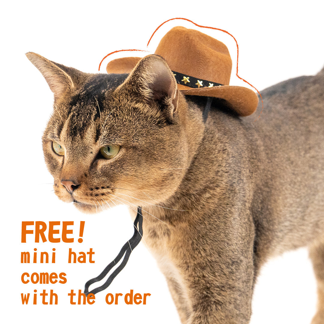 OneTigrisCamping x Tigris the Cat Inflatable Cushion