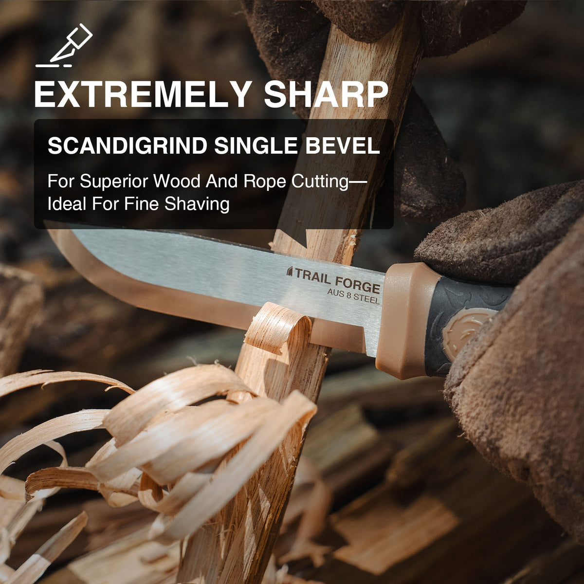 Scandigrind single bevel knife with wooden handle and blade, surrounded by wood shavings.